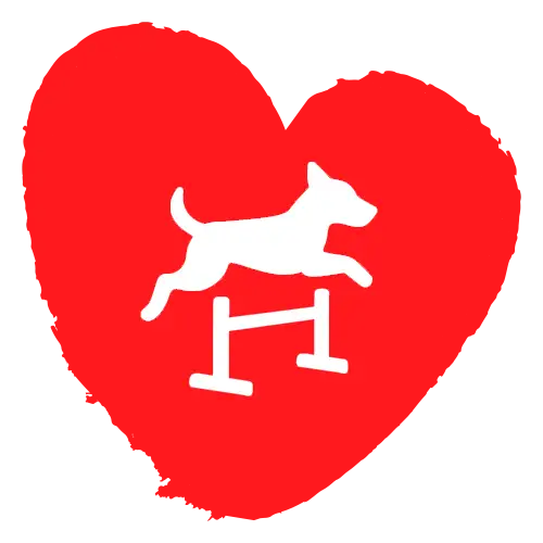 Ícone de agility para cães